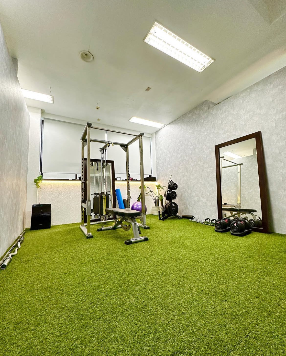 夏までに変わる‼︎正しい知識で叶えるダイエット成功術